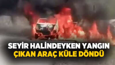 Kırklareli’de seyir halindeyken yangın çıkan otomobil kullanılamaz hale geldi.