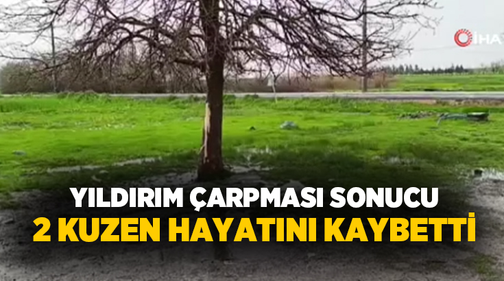 Diyarbakır’ın Ergani ilçesinde yıldırım çarpması sonucu ağır yaralanan 3 kuzenden