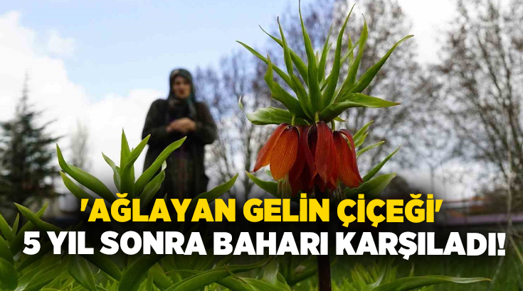 Denizli’nin Bozkurt ilçesinde halk arasında "ağlayan gelin" olarak bilinen ters