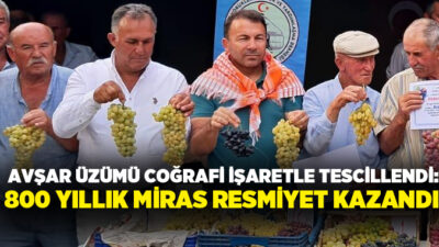 Denizli’nin Acıpayam ilçesine bağlı Avşar Mahallesi’nde yüzyıllardır yetiştirilen Avşar Üzümü,