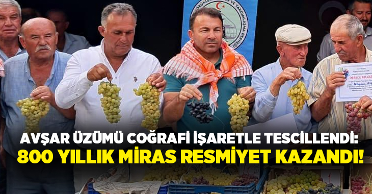 Denizli’nin Acıpayam ilçesine bağlı Avşar Mahallesi’nde yüzyıllardır yetiştirilen Avşar Üzümü,