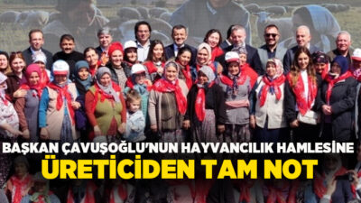 Denizli Büyükşehir Belediyesi’nin hayvancılığı desteklemek amacıyla hayata geçirdiği "Bereketli Sürüler