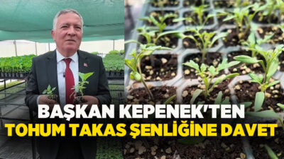 Honaz'da ata tohumları yeniden hayat buluyor; ücretsiz fide dağıtımıyla üretim