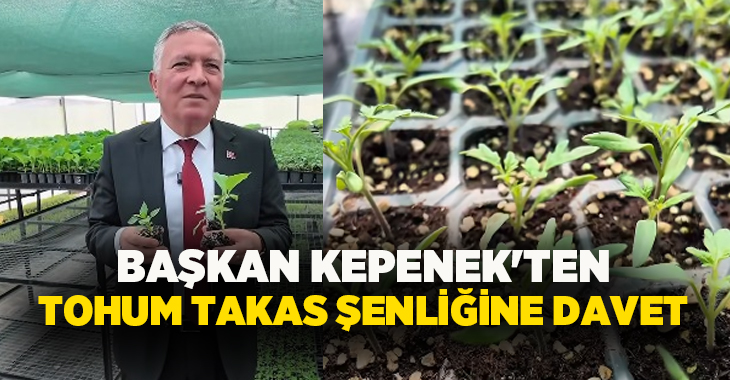 Honaz'da ata tohumları yeniden hayat buluyor; ücretsiz fide dağıtımıyla üretim