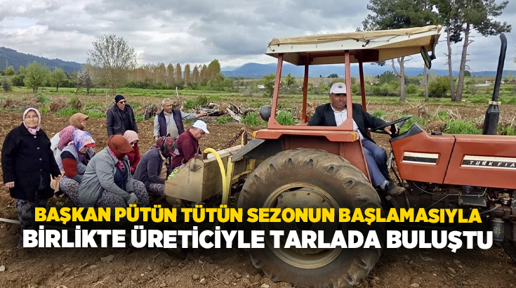 Denizli’nin Beyağaç ilçesinde tütün dikimi başladı. Belediye Başkanı Sezayi Pütün,