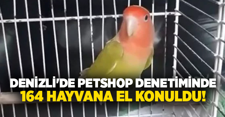 Denizli’de gerçekleştirilen denetimlerde, belgesiz papağanlar ile istilacı tür kapsamında bulunan