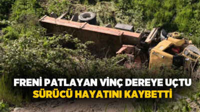 Bursa’nın İnegöl ilçesinde yokuş aşağı inerken freni patlayan tır, otomobile