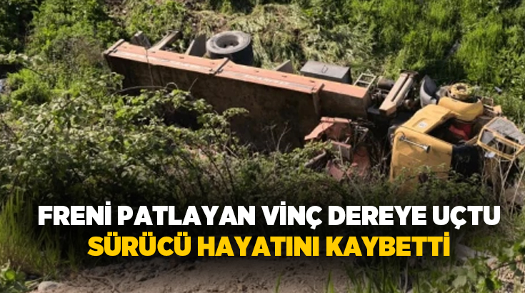 Bursa’nın İnegöl ilçesinde yokuş aşağı inerken freni patlayan tır, otomobile