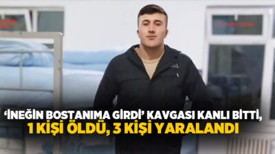 Töngel köyünde komşunun bostanına giren inek akrabalar arasında kavgaya neden