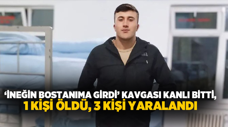 Töngel köyünde komşunun bostanına giren inek akrabalar arasında kavgaya neden