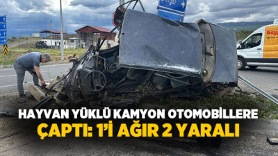 Bingöl’de hayvan yüklü kamyonun iki otomobile çarpması sonucu meydana gelen