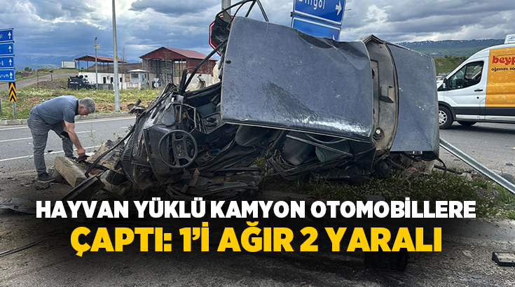 Bingöl’de hayvan yüklü kamyonun iki otomobile çarpması sonucu meydana gelen