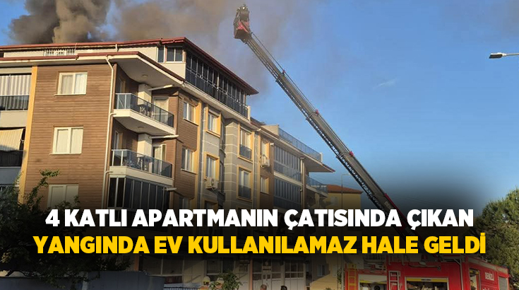 Denizli’nin Pamukkale ilçesinde 4 katlı bir apartmanın çatı katında çıkan