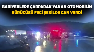 Afyonkarahisar’da bariyerlere çarptıktan sonra alev alan otomobilin sürücü hayatını kaybetti,