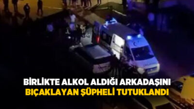 Bolu’nun Mudurnu ilçesinde birlikte alkol aldığı arkadaşını kesici aletle yaralayıp
