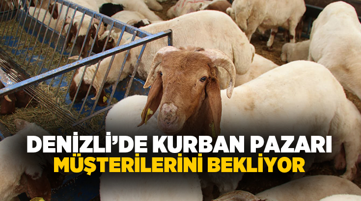 Denizli Ticaret Borsası Kurban Pazarı, yaklaşan Kurban Bayramı dolayısıyla hareketlendi.