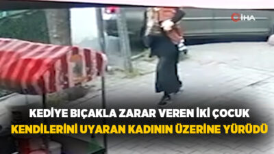 Esenler’de iki çocuk ellerindeki bıçakla önce kediye zarar verdi ardından