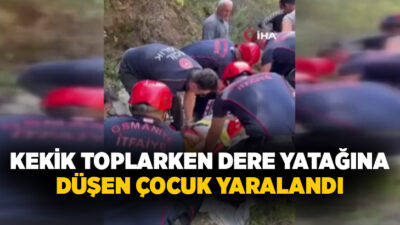 Osmaniye’de kekik toplamak için çıktığı dağlık alanda dere yatağına düşen