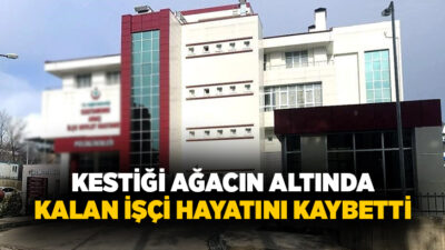 Kastamonu’nun Araç ilçesinde ormanlık alanda kestiği ağacın altında kalan işçi