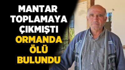 Adana’da mantar toplamak için evden ayrılan 65 yaşındaki adam ormanda