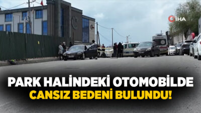 Beylikdüzü’nde öğle saatlerinde yol kenarında park halinde bulunan otomobilde bir