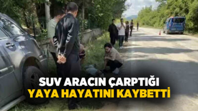 Denizli’nin Acıpayam ilçesine bağlı Kelekçi Mahallesi’nde meydana gelen trafik kazasında