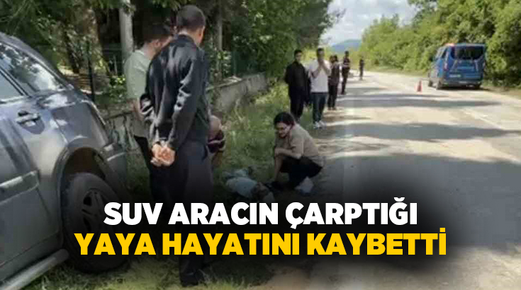 Denizli’nin Acıpayam ilçesine bağlı Kelekçi Mahallesi’nde meydana gelen trafik kazasında