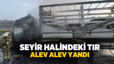 Çatalca’da seyir halindeki tır alev aldı. Kısa sürede alevlerin sardığı