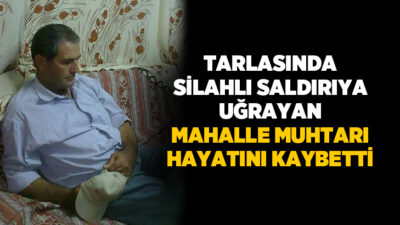Manisa’nın Selendi ilçesinde bir mahalle muhtarı, tarlasında çalıştığı sırada uğradığı