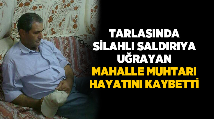 Manisa’nın Selendi ilçesinde bir mahalle muhtarı, tarlasında çalıştığı sırada uğradığı