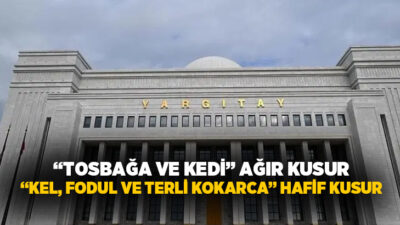 Bir boşanma davasının temyiz müracaatını değerlendiren Yargıtay 2. Hukuk Dairesi,