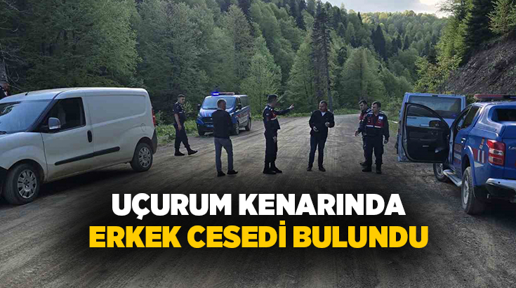 Düzce’de Samandere köyü ile Sinekli Yaylası arasında bulunan yolda erkek