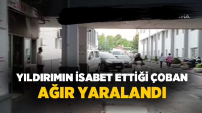 Batman’ın Beşiri ilçesine bağlı Eskihamur köyünde koyunlarını otlatan bir çoban,