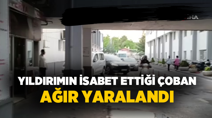 Batman’ın Beşiri ilçesine bağlı Eskihamur köyünde koyunlarını otlatan bir çoban,