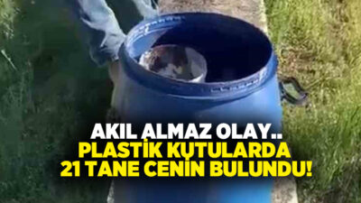 Şanlıurfa’da mezarlıkta bir bidonun içerisindeki plastik kutularda 21 cenin bulundu.