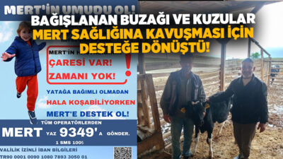 Denizli'nin Çal ilçesinde tedavisi için yardım kampanyaları düzenlenen minik Mert'e