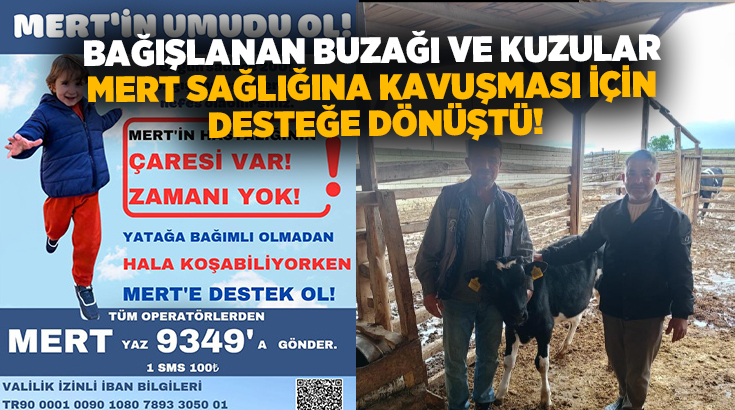 Denizli'nin Çal ilçesinde tedavisi için yardım kampanyaları düzenlenen minik Mert'e