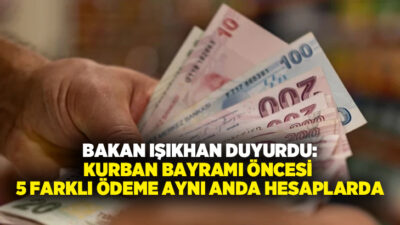 Çalışma ve Sosyal Güvenlik Bakanı Vedat Işıkhan, işsizlik ve kısa