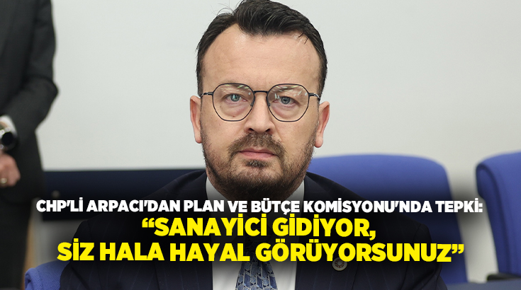 CHP Denizli Milletvekili Şeref Arpacı, TBMM Plan ve Bütçe Komisyonu’nda