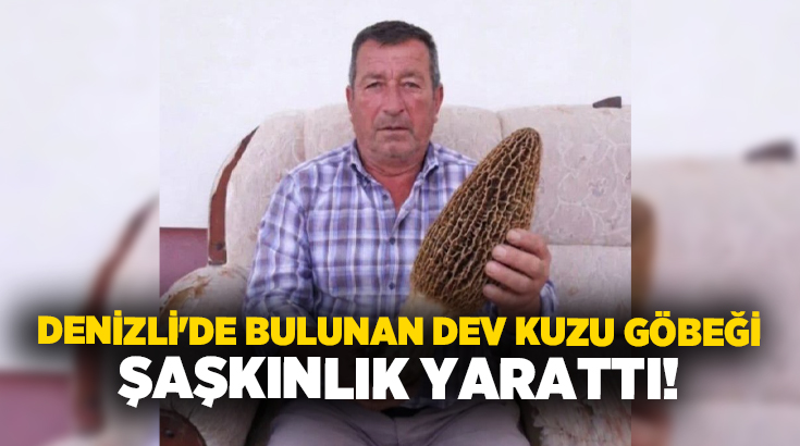 Denizli’nin Acıpayam ilçesine bağlı Avşar Mahallesi’nde bulunan dev kuzu göbeği