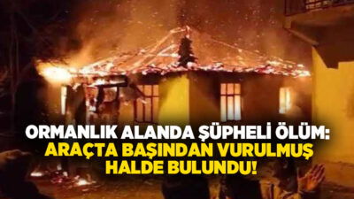 Denizli’nin Bekilli ilçesine bağlı Üçkuyu Mahallesi’nde çıkan yangında alevler arasında