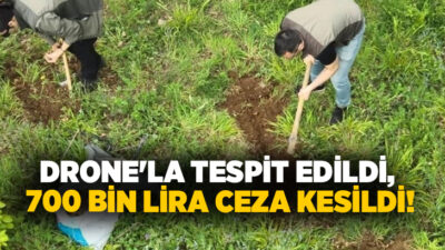 Kocaeli’de drone destekli denetimlerde doğadan kaçak şekilde toplandığı belirlenen 40