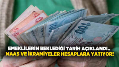 Çalışma ve Sosyal Güvenlik Bakanı Vedat Işıkhan, "Emeklilerimizin bayram ikramiyelerini