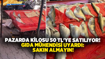 Pazarda ucuza satılan somonlar için uyarıda bulunan gıda mühendisi, şişkin