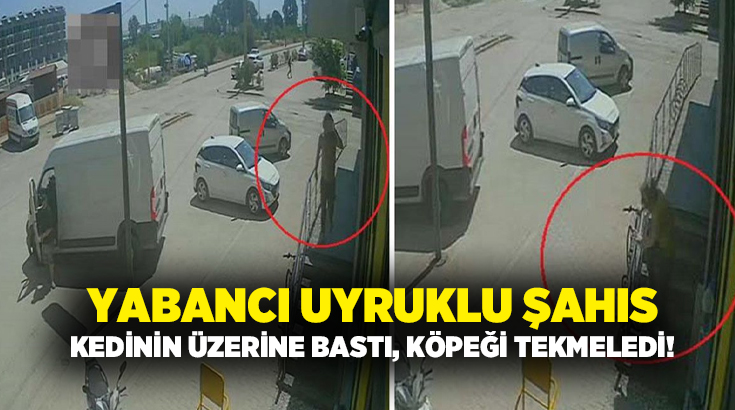 Antalya'da yabancı uyruklu bir şahıs mahalledeki esnafın beslediği kediyi ayağıyla