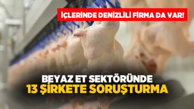 Serbest rekabet ortamını ihlal ettikleri ve fiyatları tüketici aleyhine yönlendirdikleri