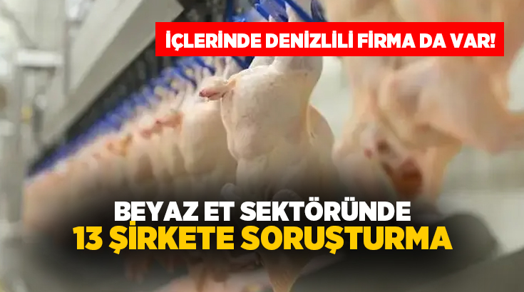 Serbest rekabet ortamını ihlal ettikleri ve fiyatları tüketici aleyhine yönlendirdikleri