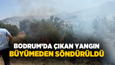 Muğla’nın Bodrum ilçesine bağlı Turgutreis Mahallesinde bulunan otluk ve makilik