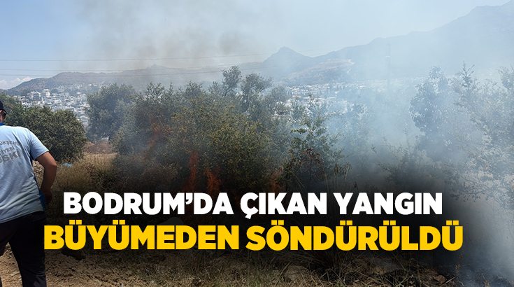 Muğla’nın Bodrum ilçesine bağlı Turgutreis Mahallesinde bulunan otluk ve makilik