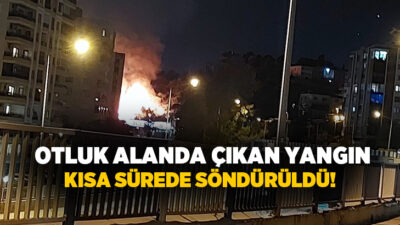  İzmir'in Bayraklı ilçesinde otluk alanda yangın çıktı. İtfaiye ekiplerinin yangına